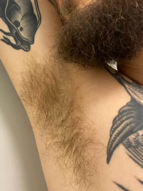 Hairy pits + beard + tatts = perfect combo?