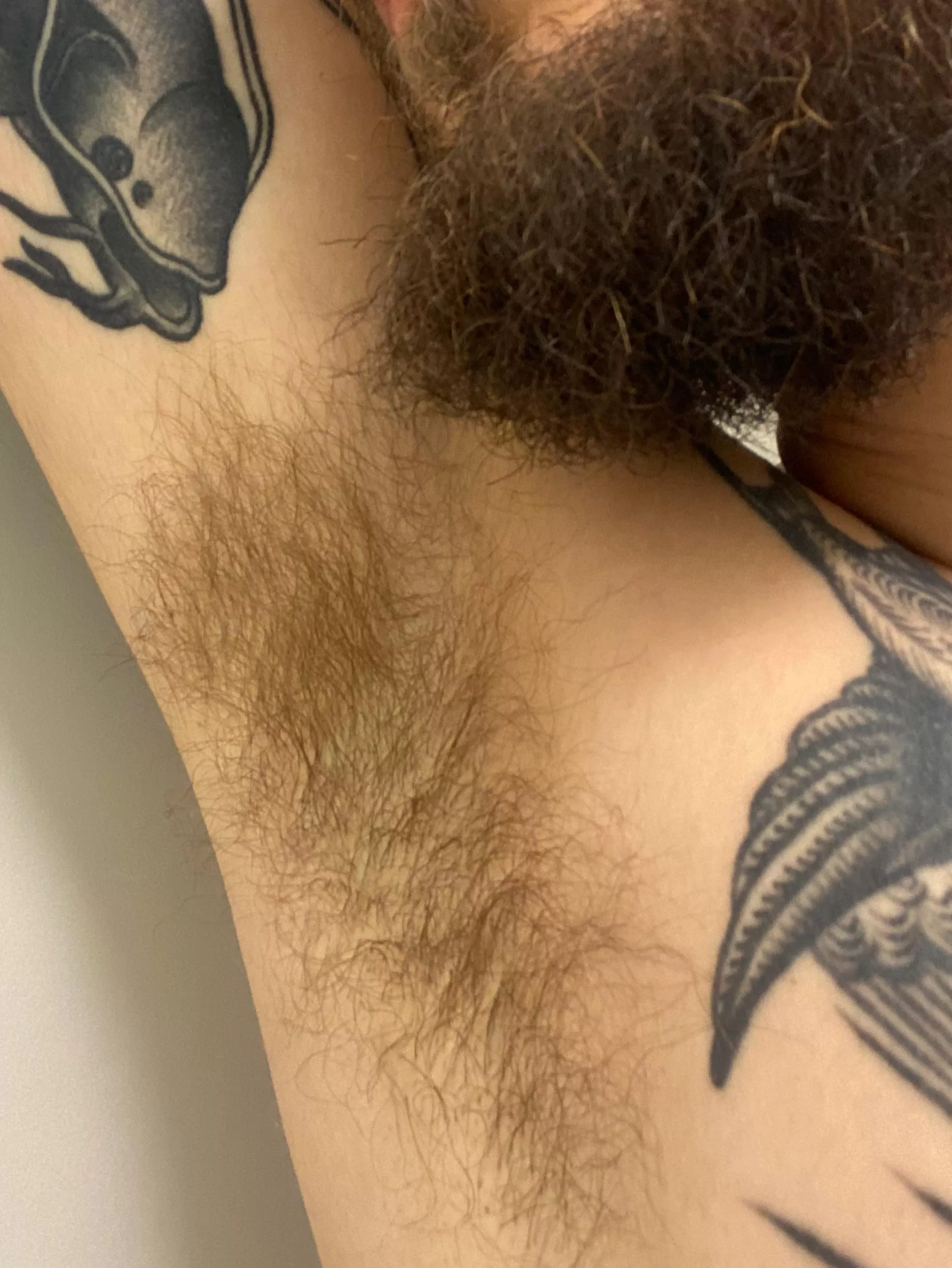 Hairy pits + beard + tatts = perfect combo?