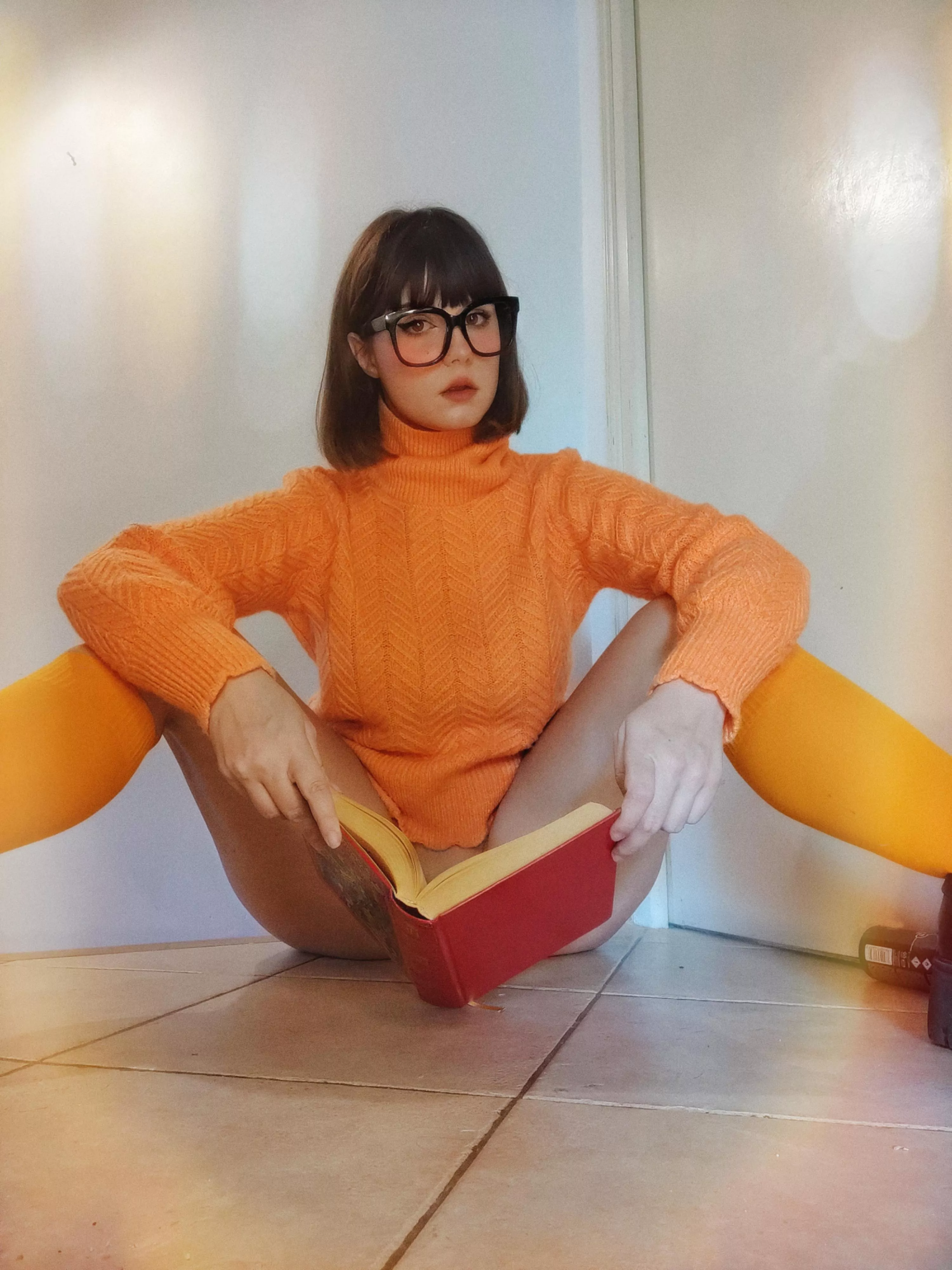 Have you seen Scooby ? 🐶