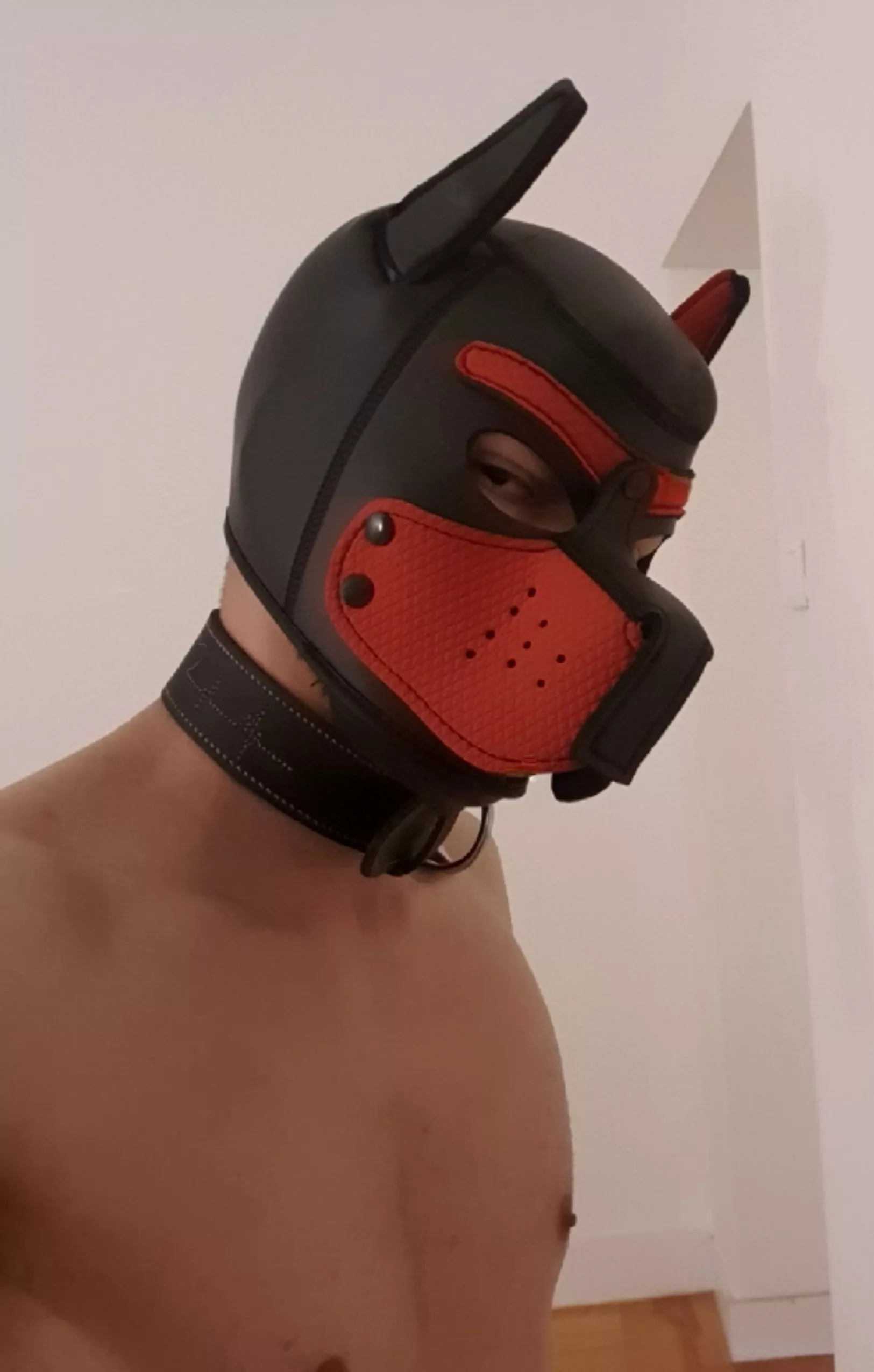 Just got my first hood