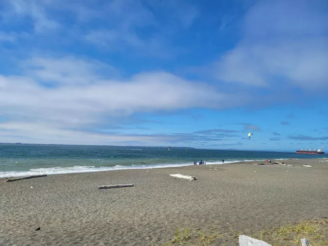 NW Pacific Coast, grey sand.