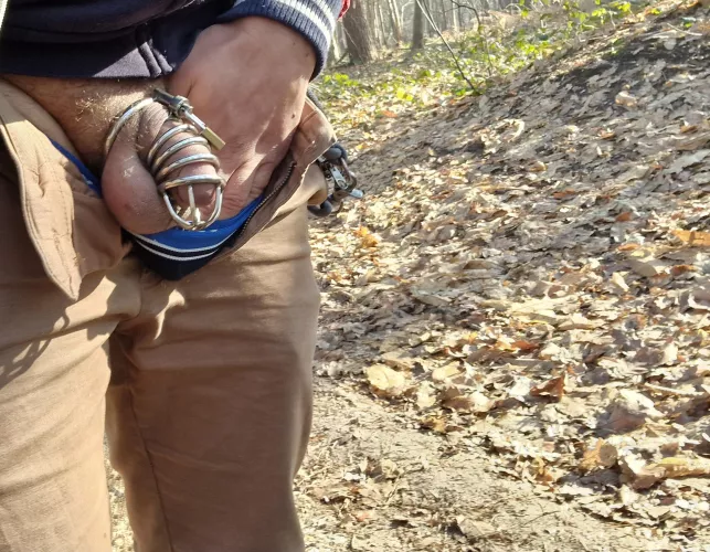 (OC) M30 Enjoying a walk in the woods