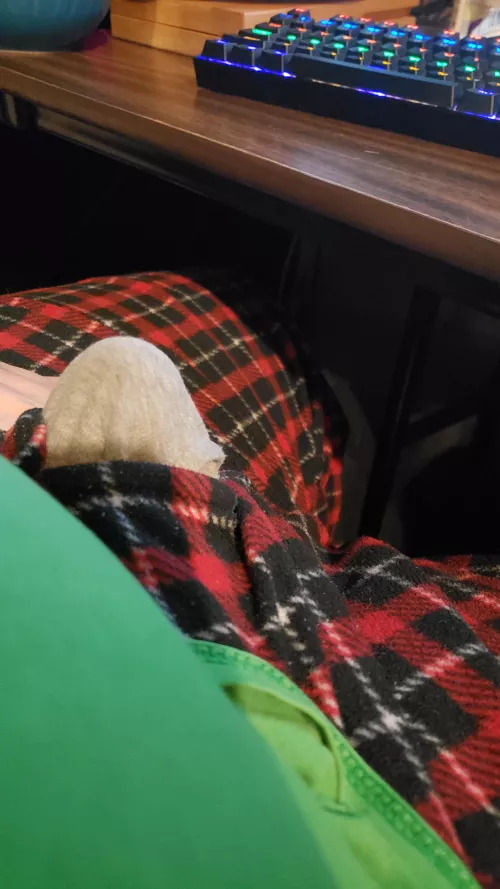 Oops! Pajama buttons came undone!