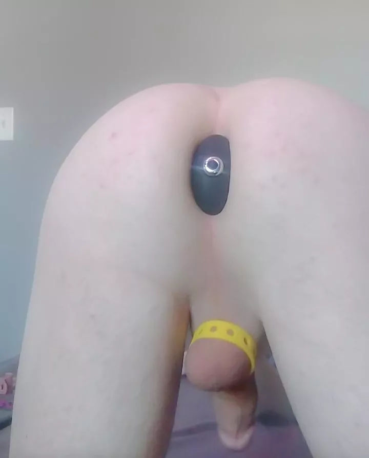 plugged for her (my) pleasure uwu