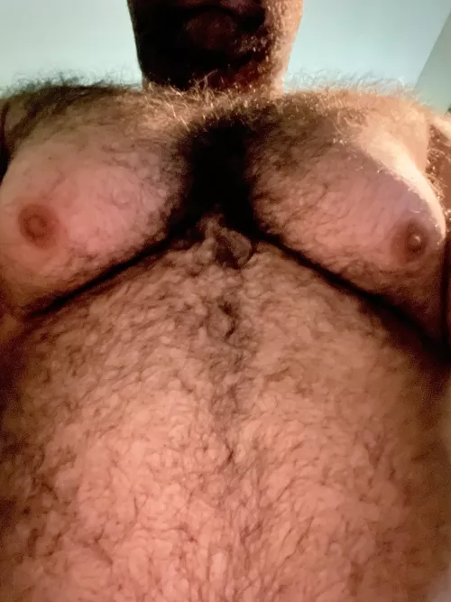 Run ur fingers through my chest hair🐻(40)