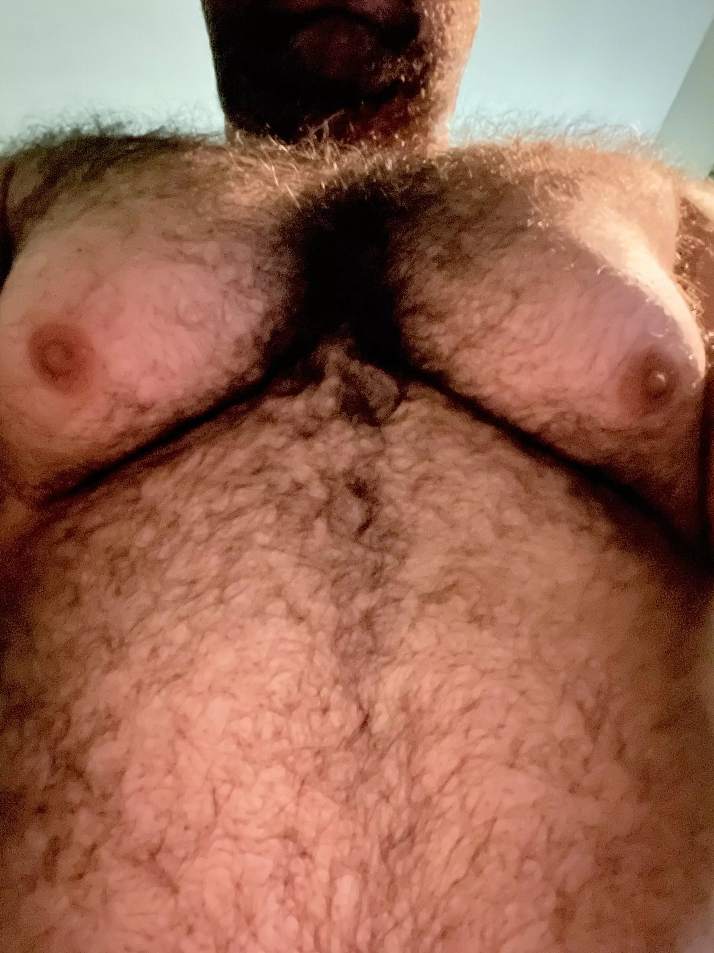 Run ur fingers through my chest hair🐻(40)