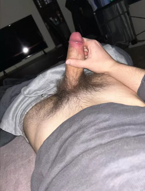 seems will be a big bush there?