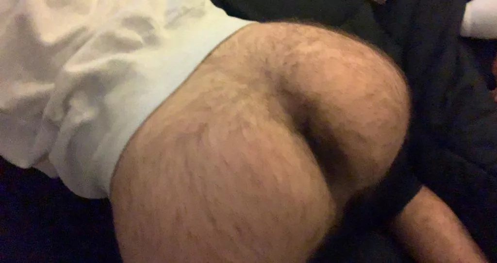 the gifs won’t work :(