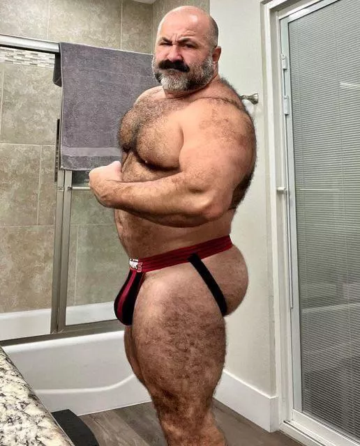 Bear with many options