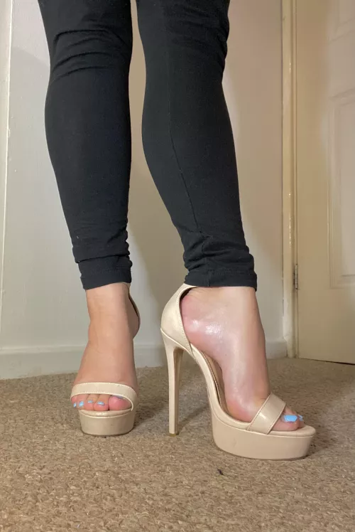 Blue toes x