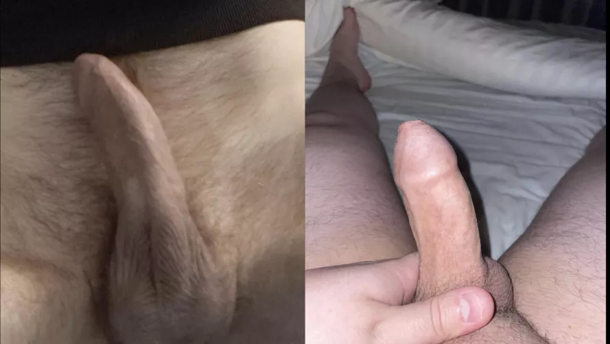comment who’s bigger