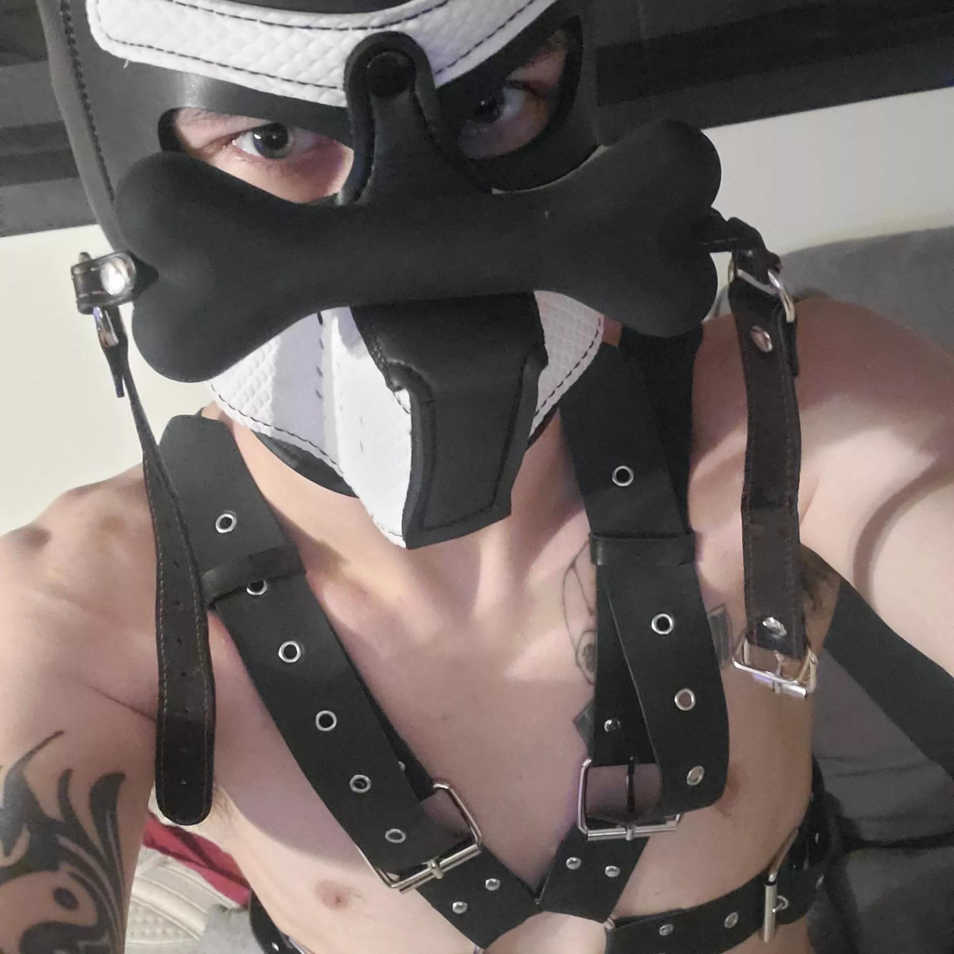 Did someone say play????