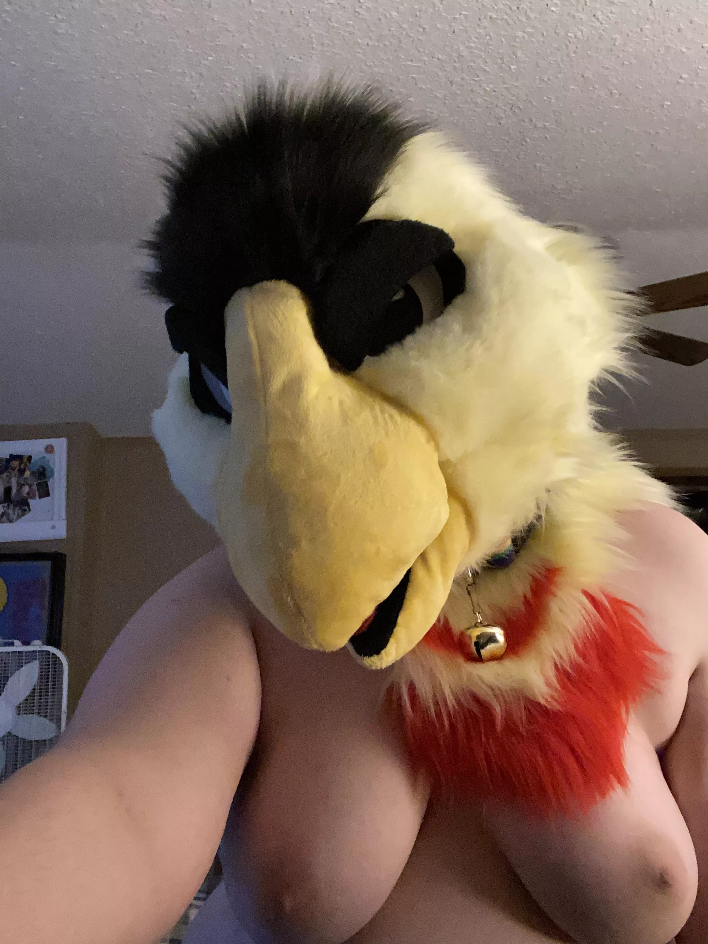 Happy Valentine’s Day!!