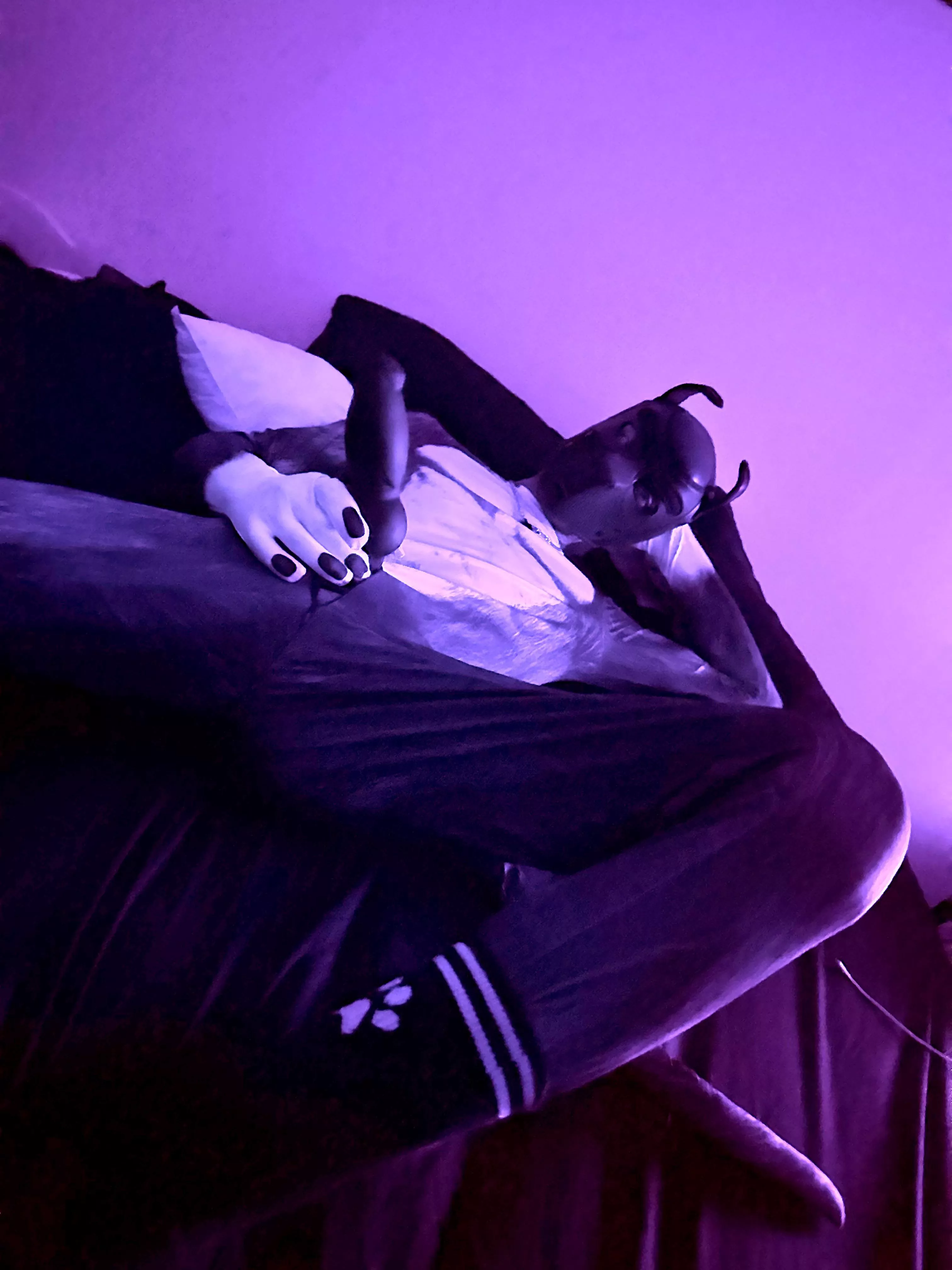 Happy Valentine’s Day 🐾🖤