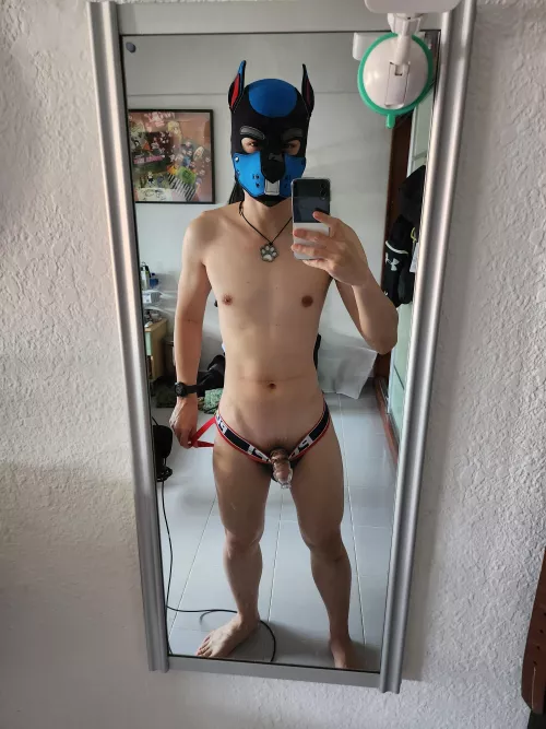 Happy valentines! Here's my gift to you... to use as you wish 🐶