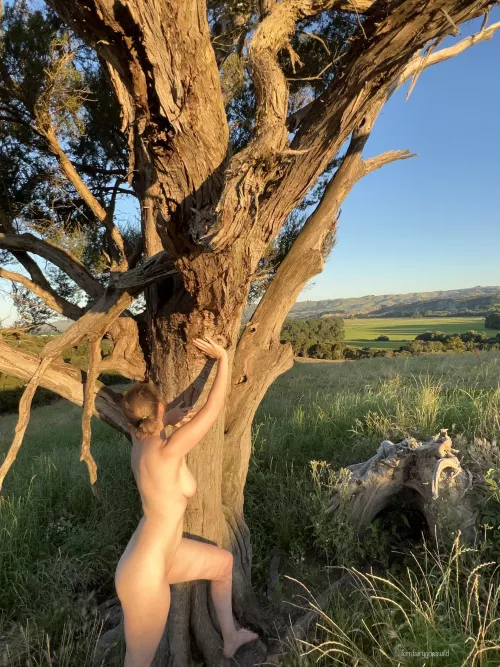 Nudist with old gumtree and an amazing view