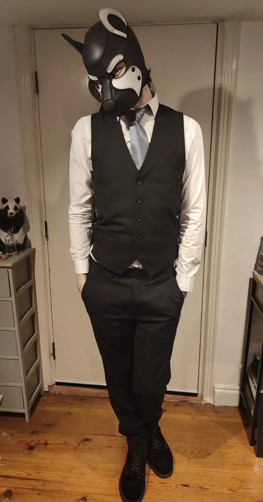 Smart pup for valentines day, I clean up good? 🥺 🐶