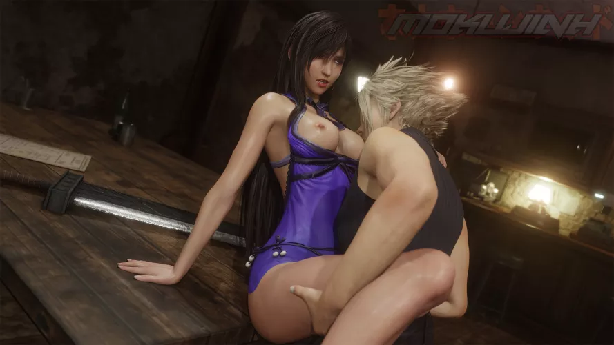 Tifa x Cloud (Mokujin Hornywood)