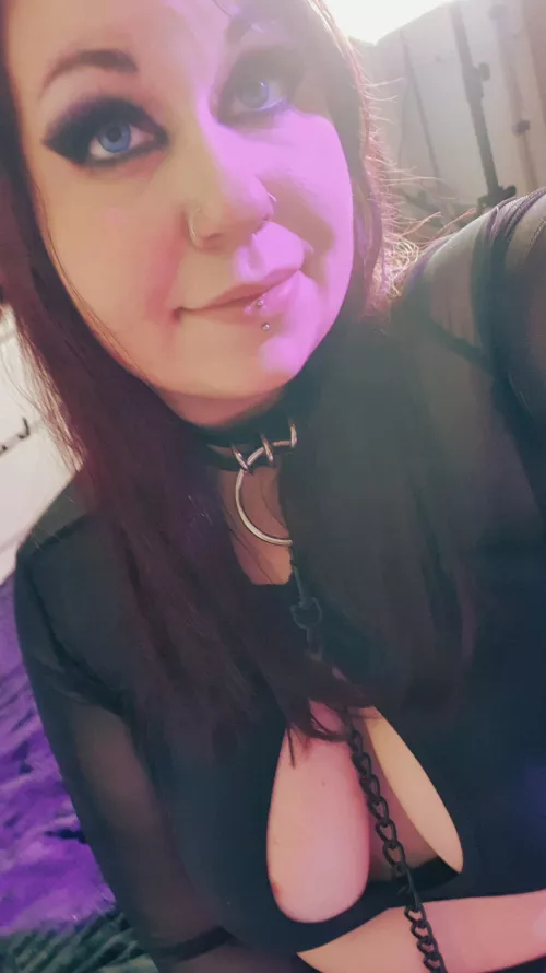 What do you think, should the leash stay on? 🔗