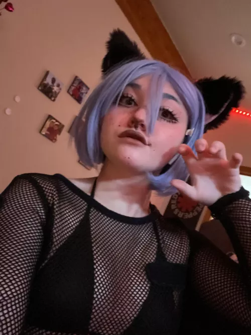 What kind of cat girls are your favorite ✨🖤