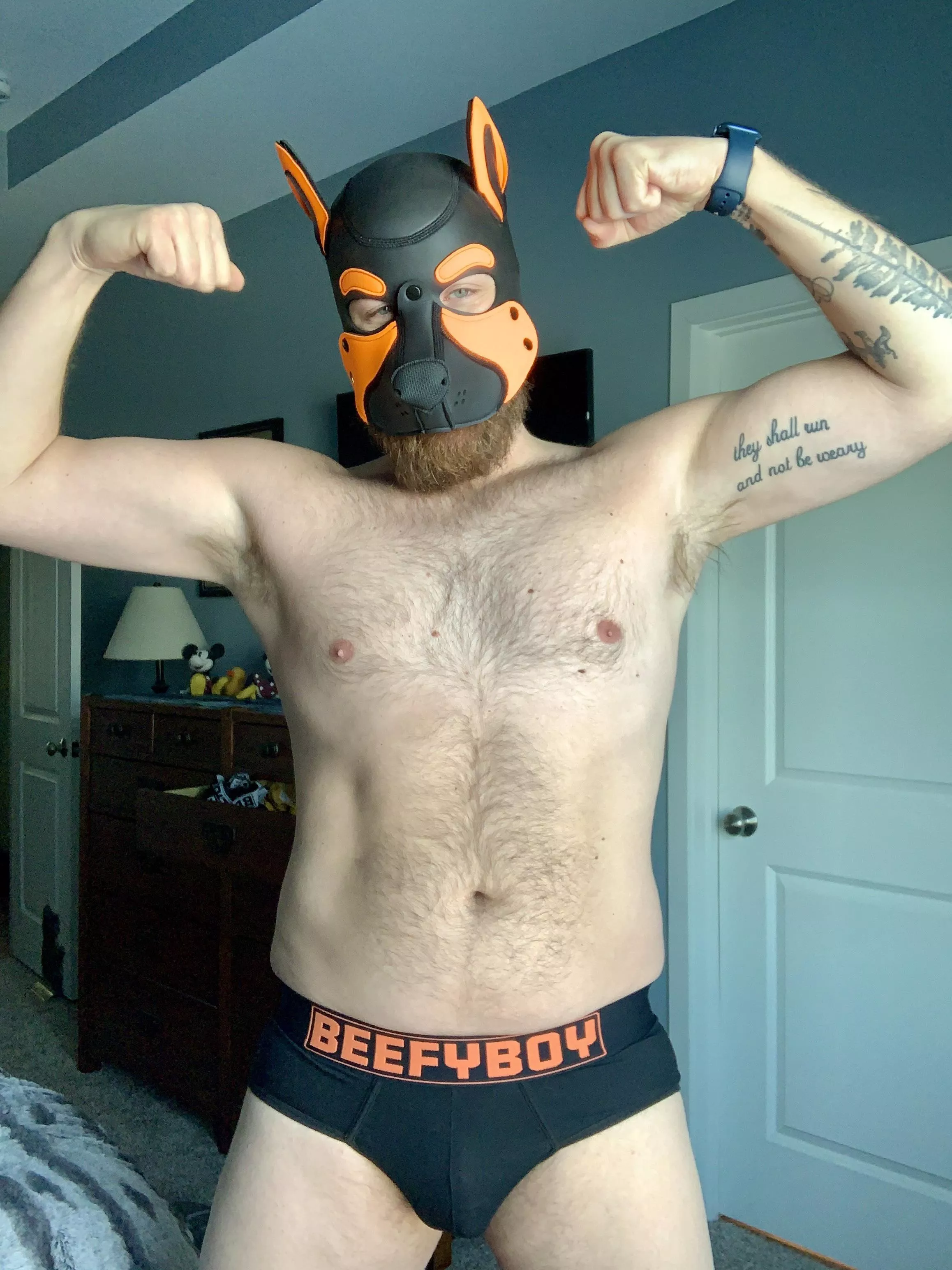 Woof, pup wants to play