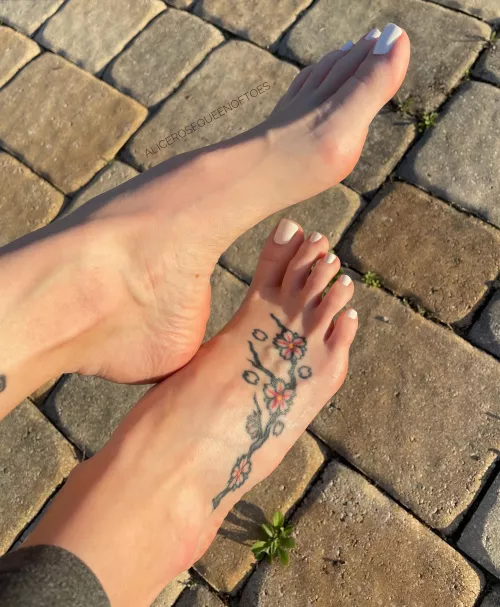 Would you give my feet some attention if you had the chance?🤔