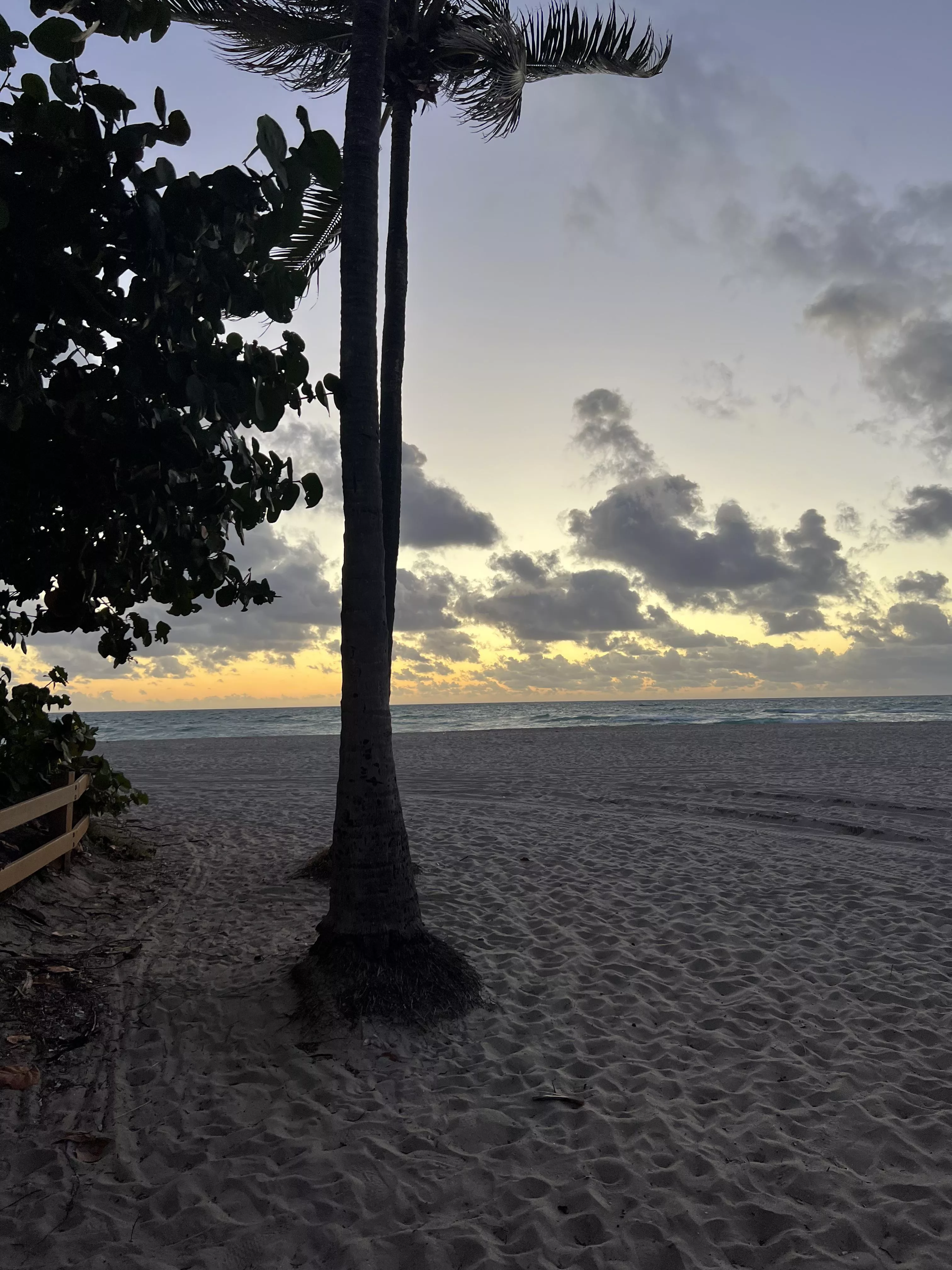 Beautiful as the person reading this ✨