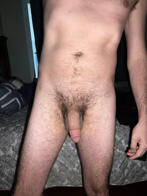 Can’t wait for the bush to grow in