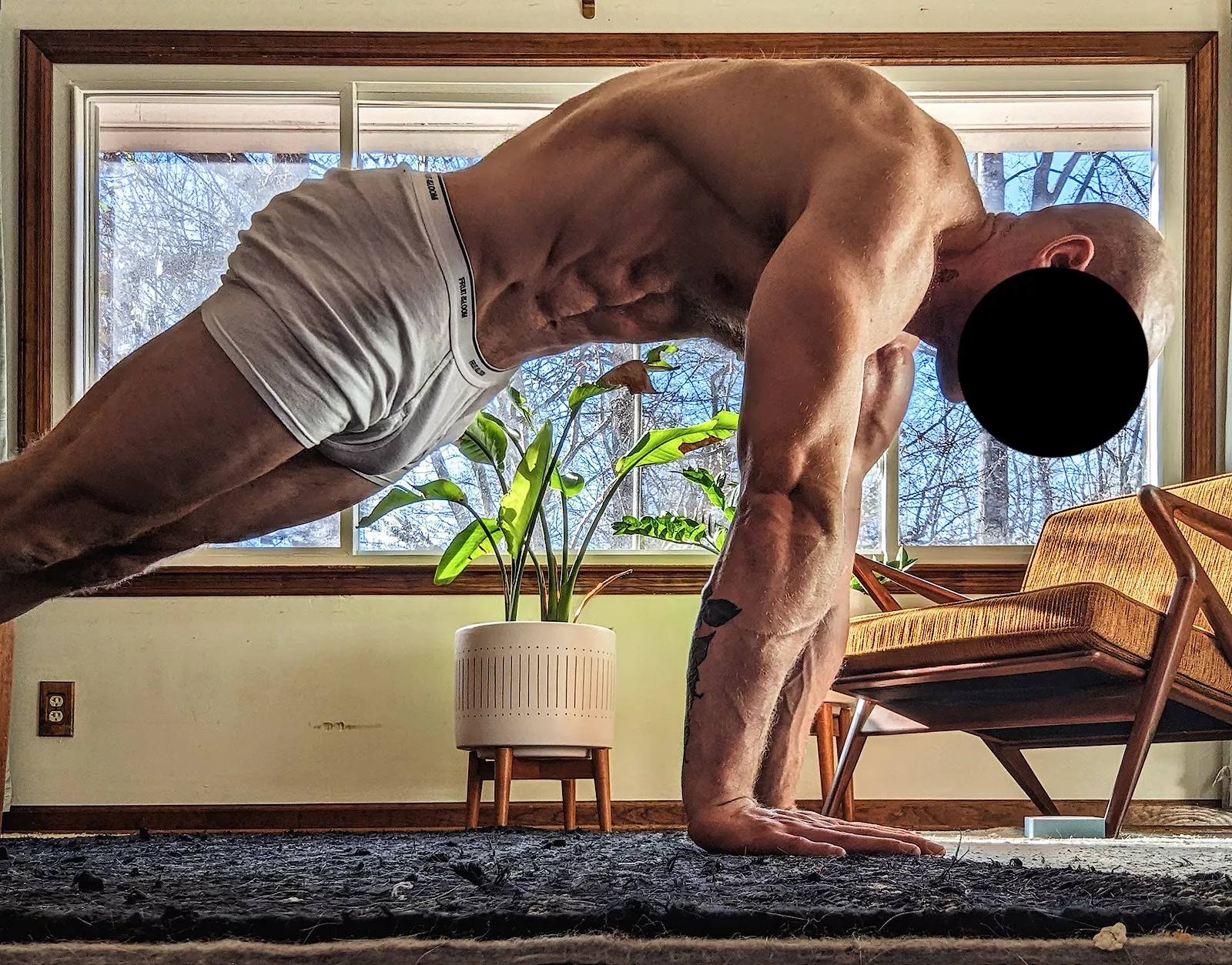 climb under me while I do my morning pushups