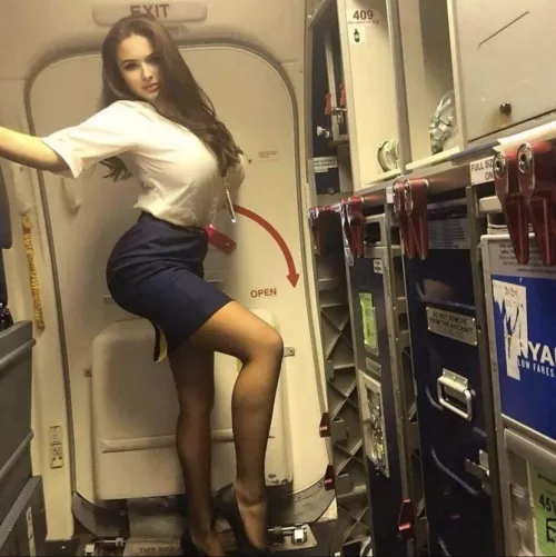 Sexy flight attendant