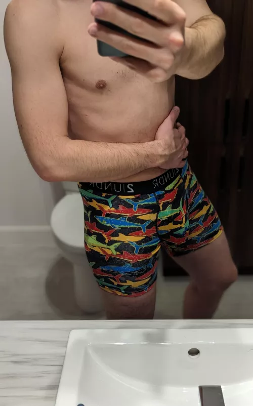 Sharks, what do you think?