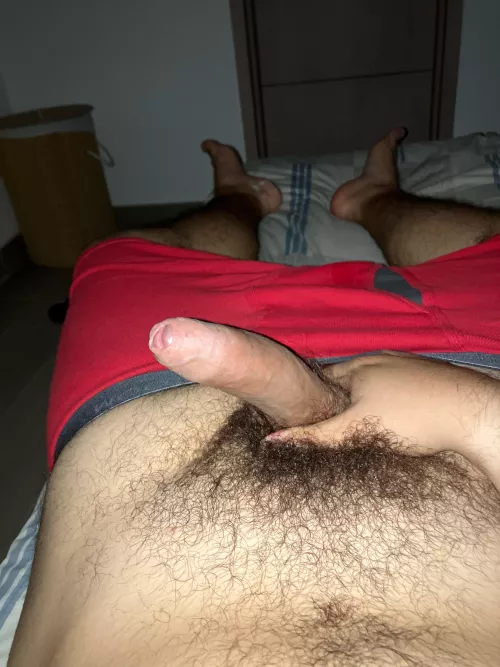Thick bush and cock