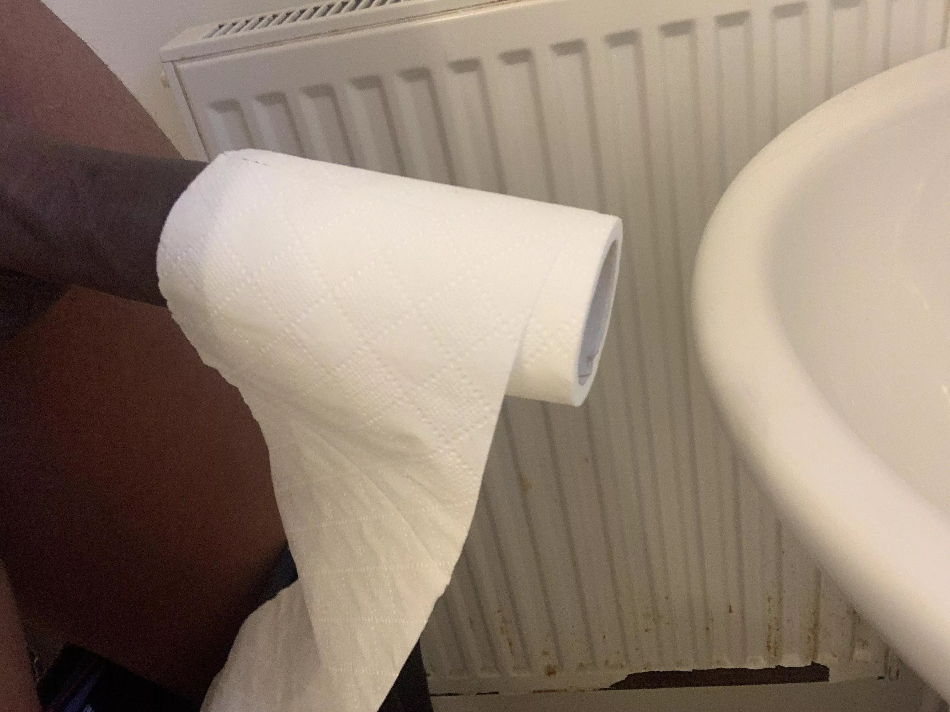 TP roll was too small and thin 😒 TP roll was too small and thin 😒