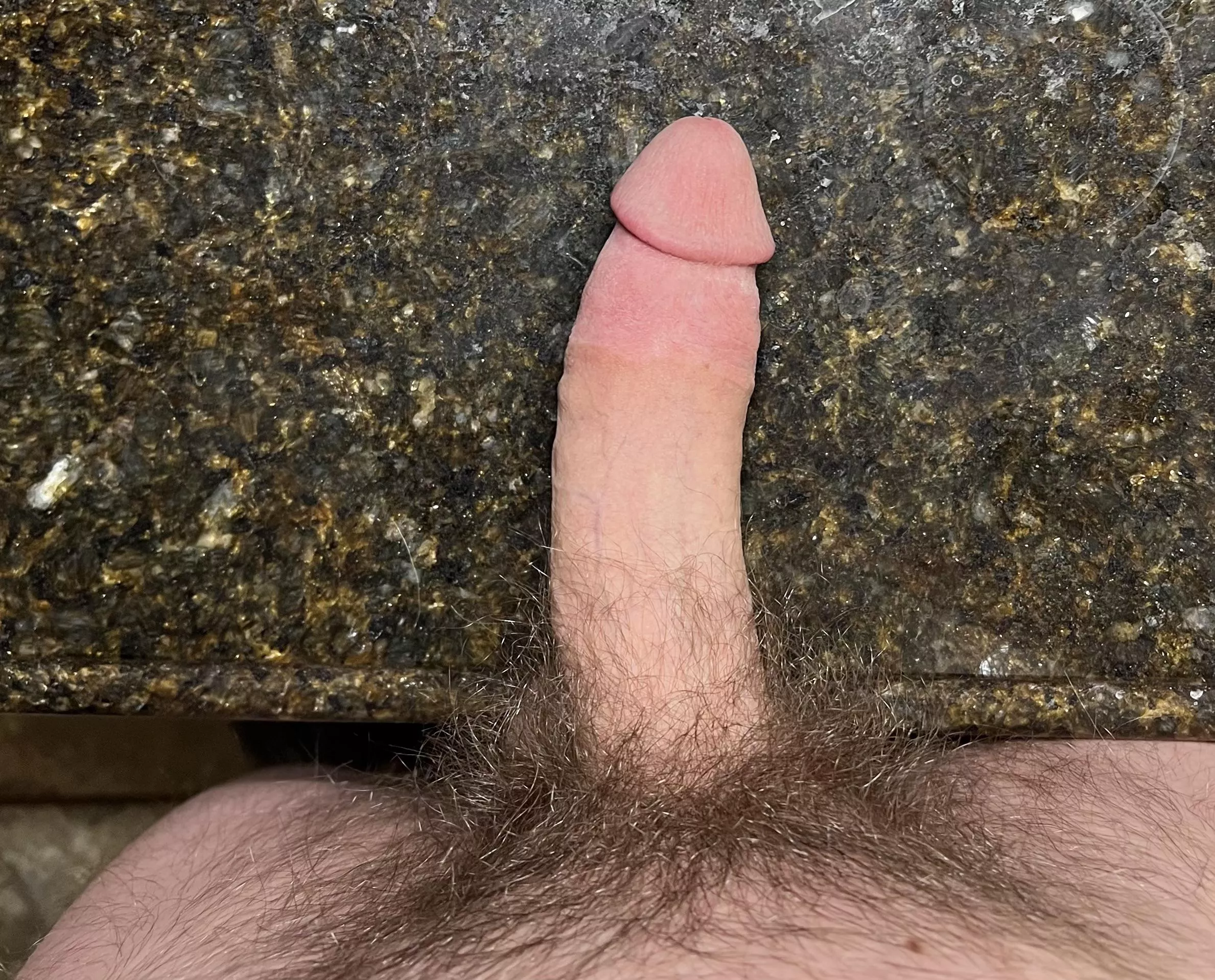 What do you think of my pubes?