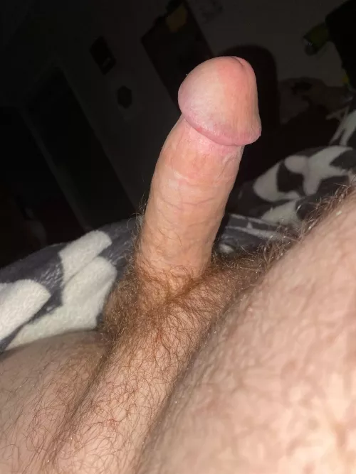 Who can make this d cum