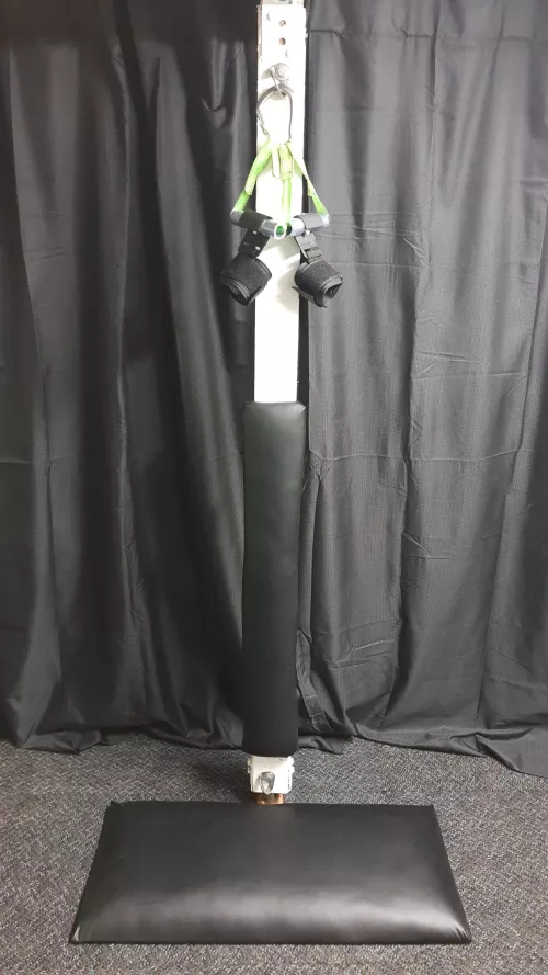 Wife's working from home tomorrow so I prepped her workstation