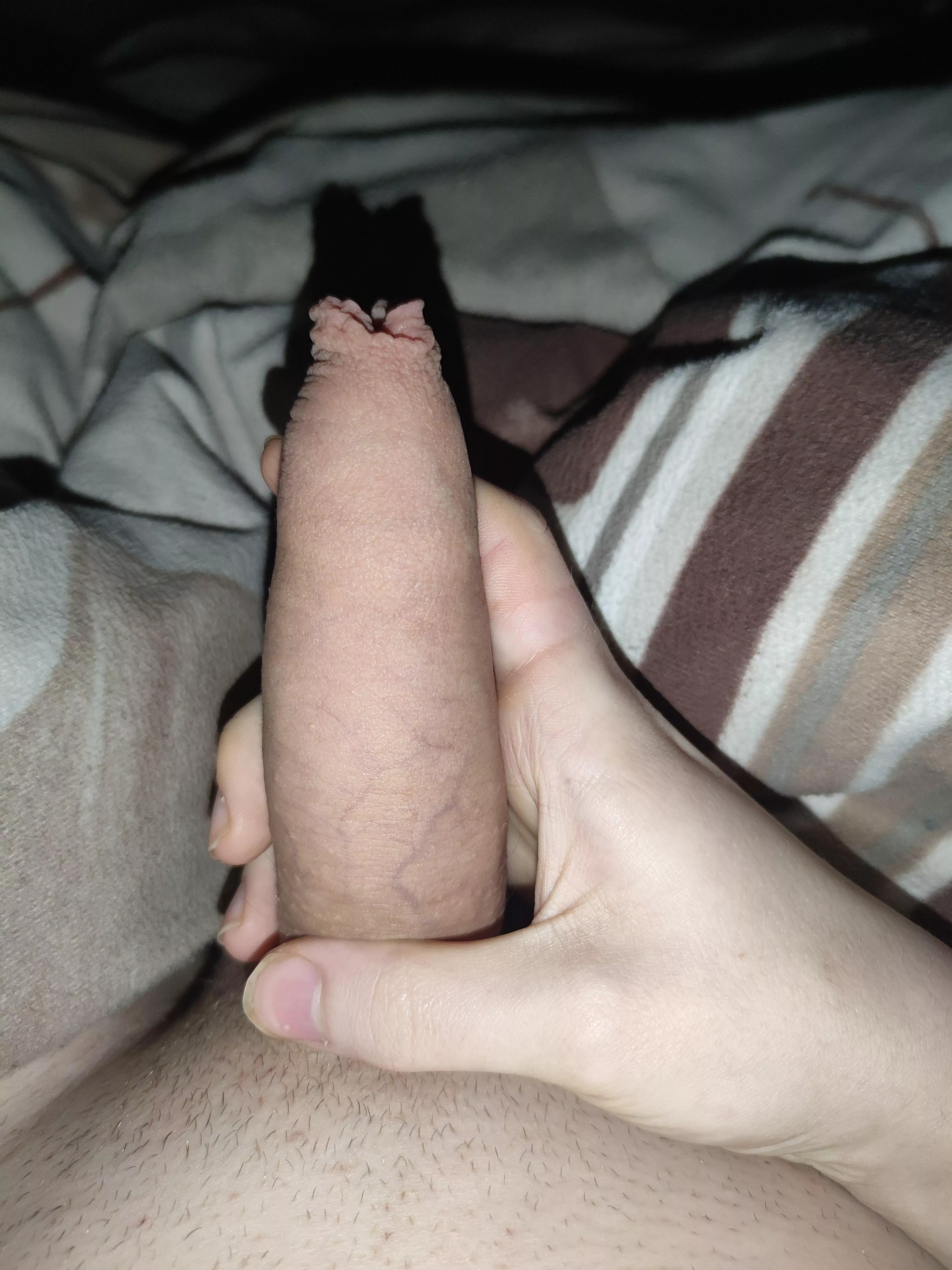 (20) my daily post as usual