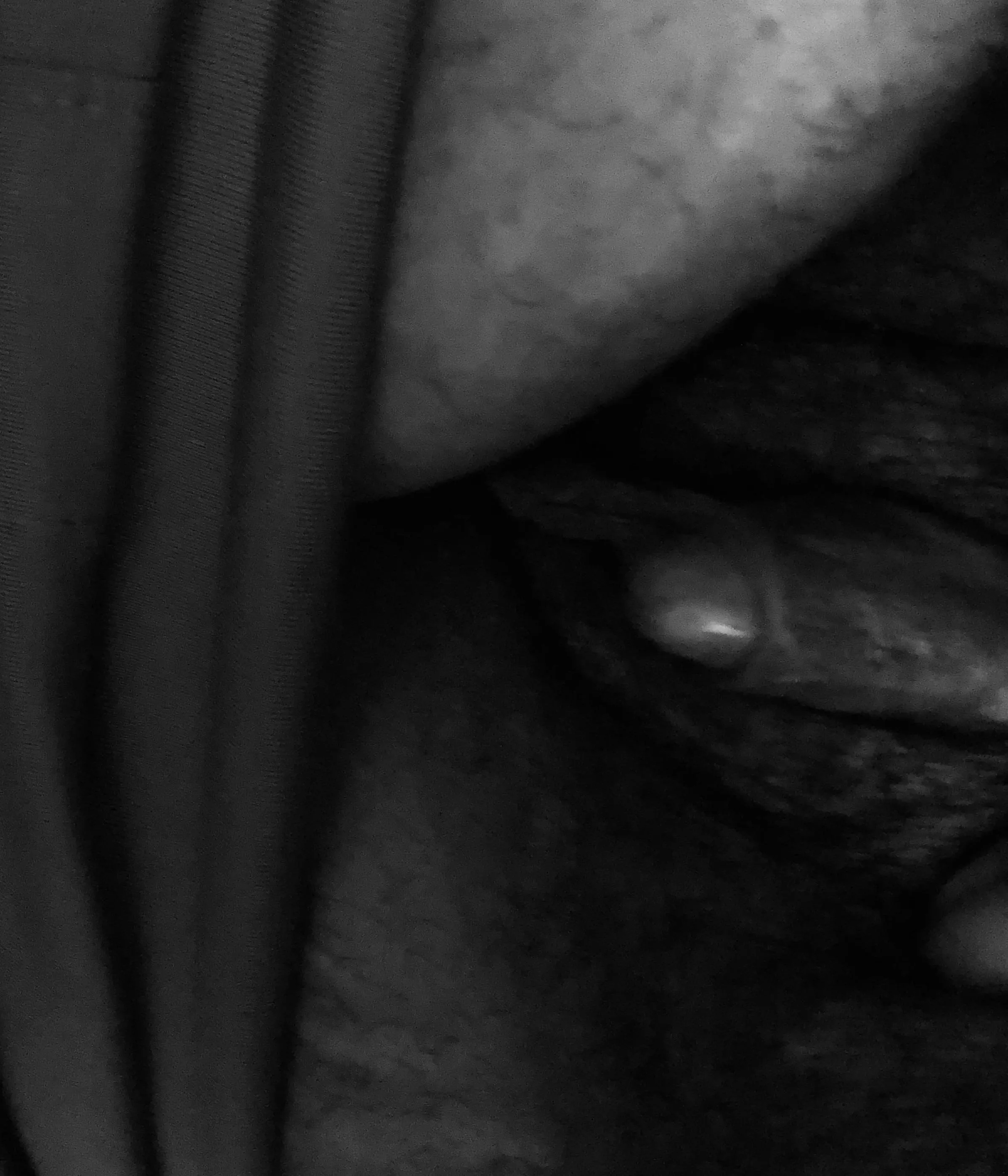 50 shades of…. Can you spot all of them?