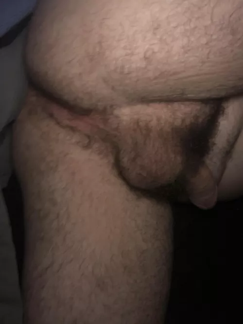 Any big bears willing to help out someone ‘in need’?