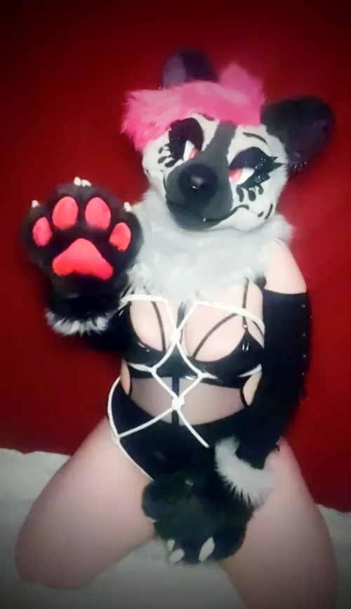 Anyone else love Shibari?