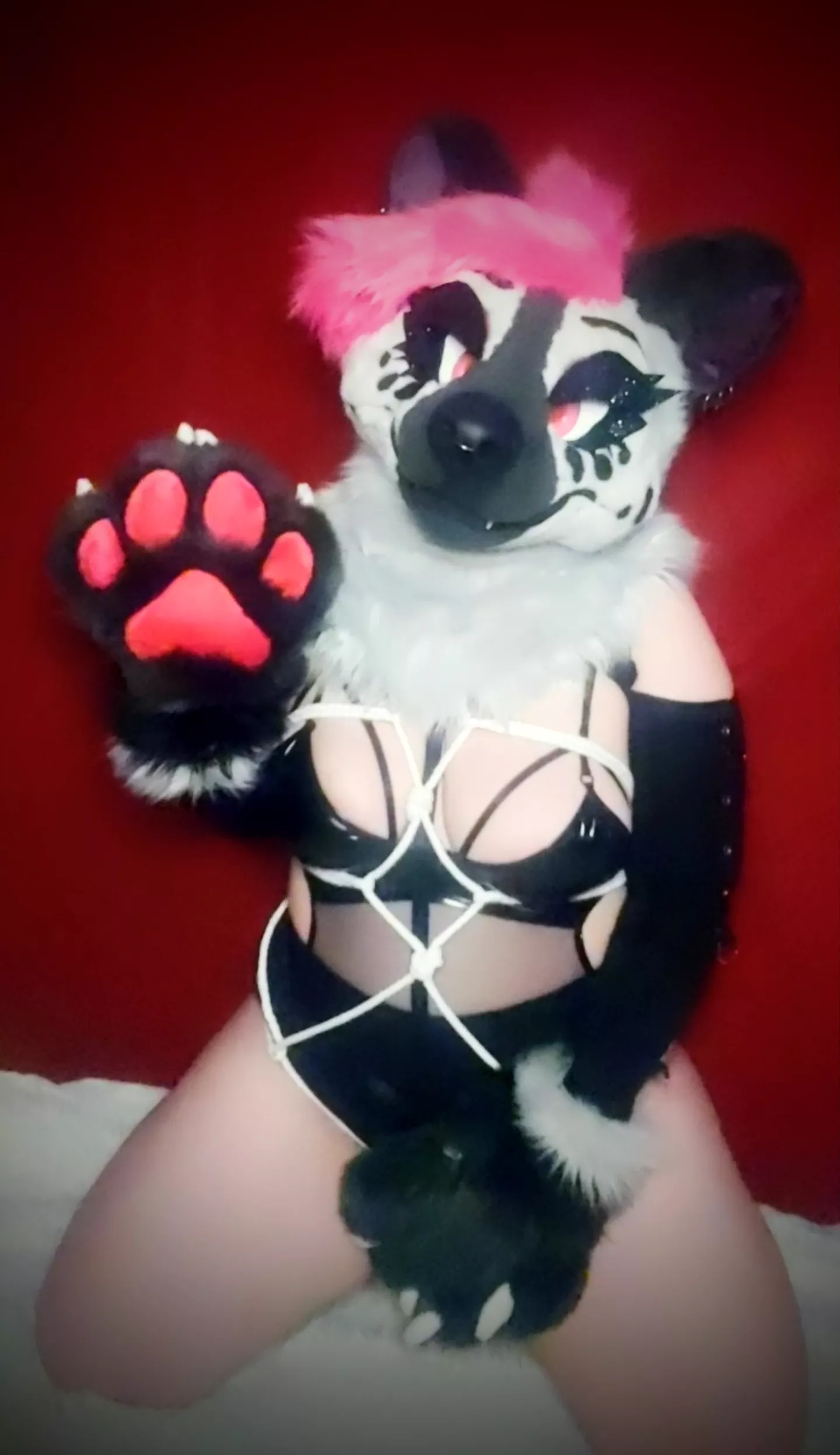 Anyone else love Shibari?