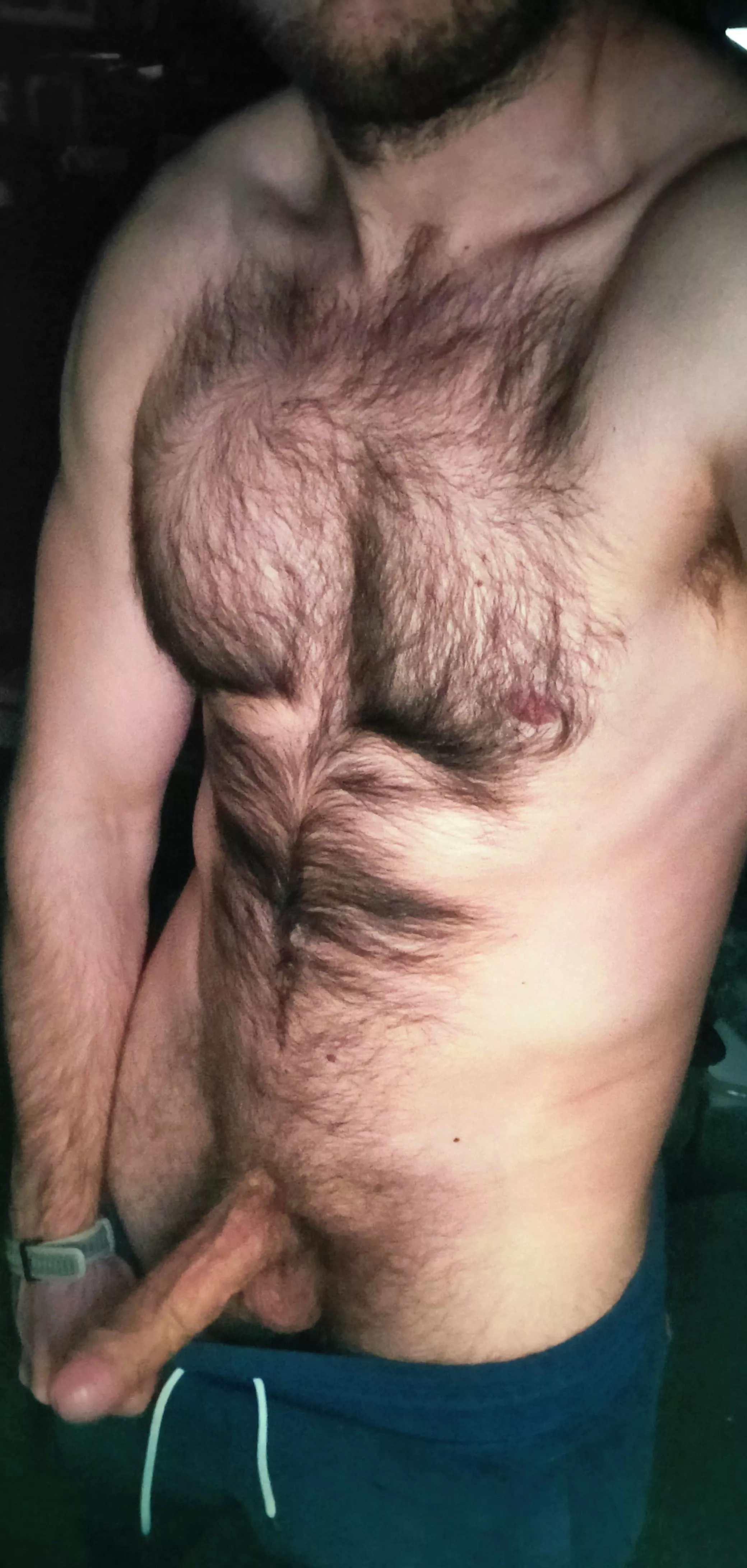 Chest hair porn check