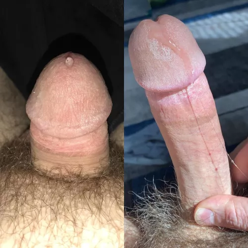 Compared against Sleepy Simpleton and won. Three times his size.