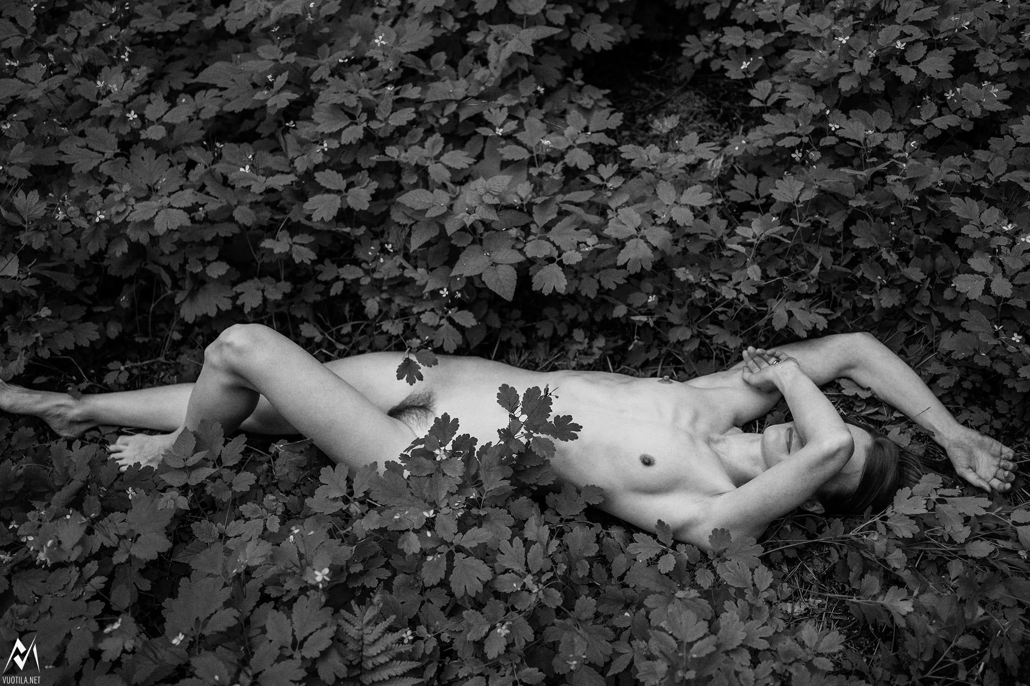 Definitely not safe for these bush