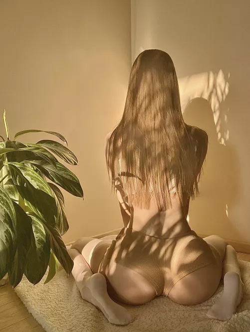 greetings from my ass ✨