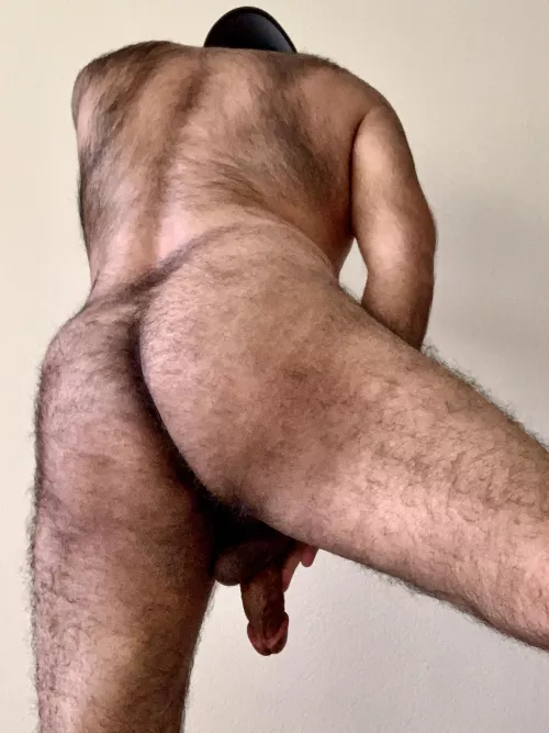Hairy back, hairy butt, hairy balls. You like?