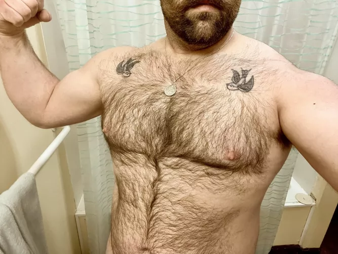 Hairy, bearded, strong shoulders 😉 Am i your type?