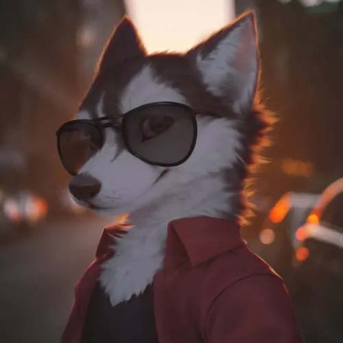 Husky (WayNAnimation)