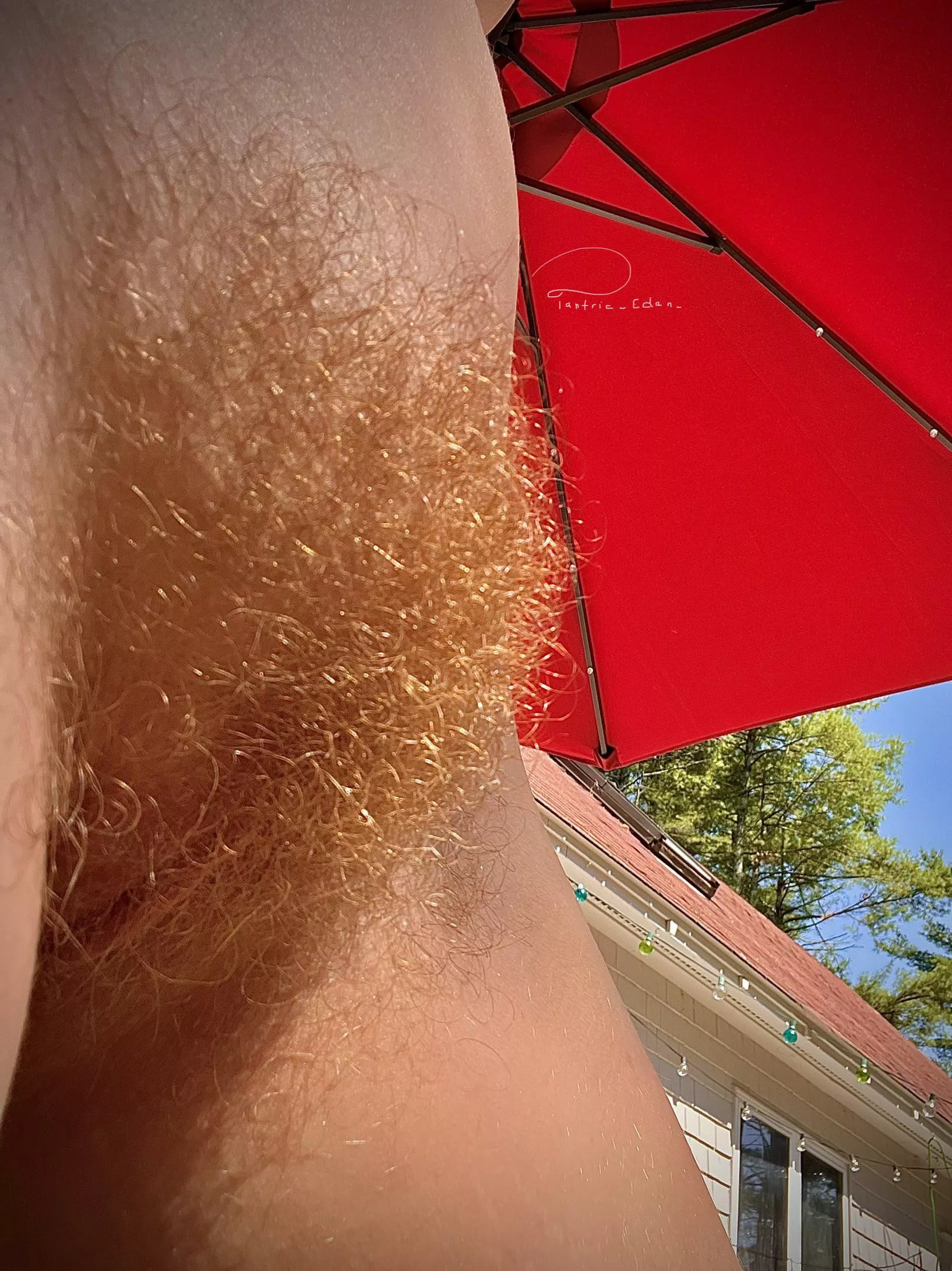 if you could only pick one, would you touch me with your fingers or your tongue?