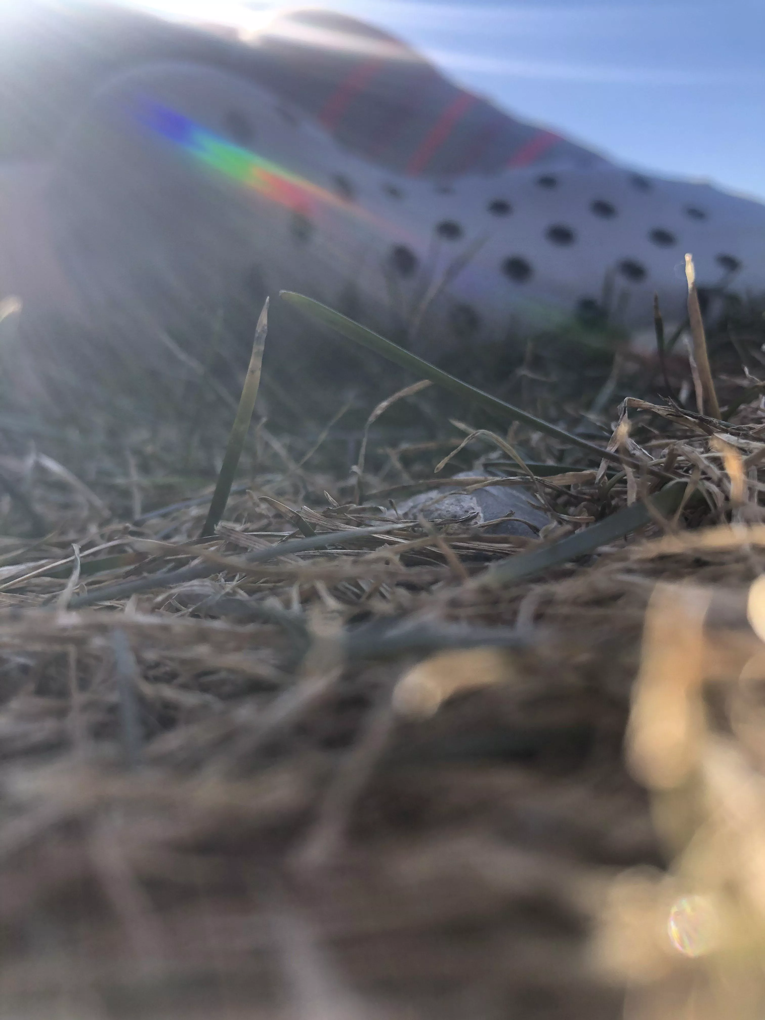 Mismatch socks laying in the grass. Don’t you wanna crawl up them?